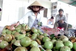 Mùa này nên chọn ăn trái cây gì?